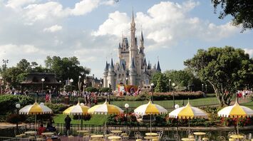 When is the best time to go to Disney World: choose the right time