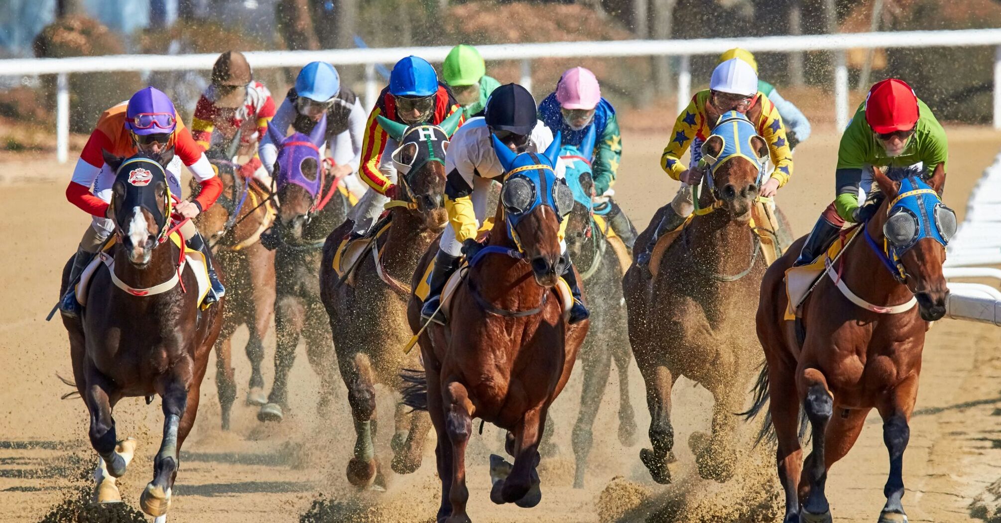 A group of jockeys on horseback racing competitively on a dirt track, kicking up dust in their wake