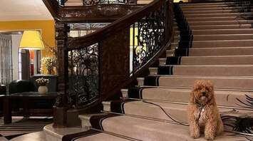 Top 25 hotels and resorts in Europe and the UK. Locations you can poke your finger at without embarrassment for a luxury vacation