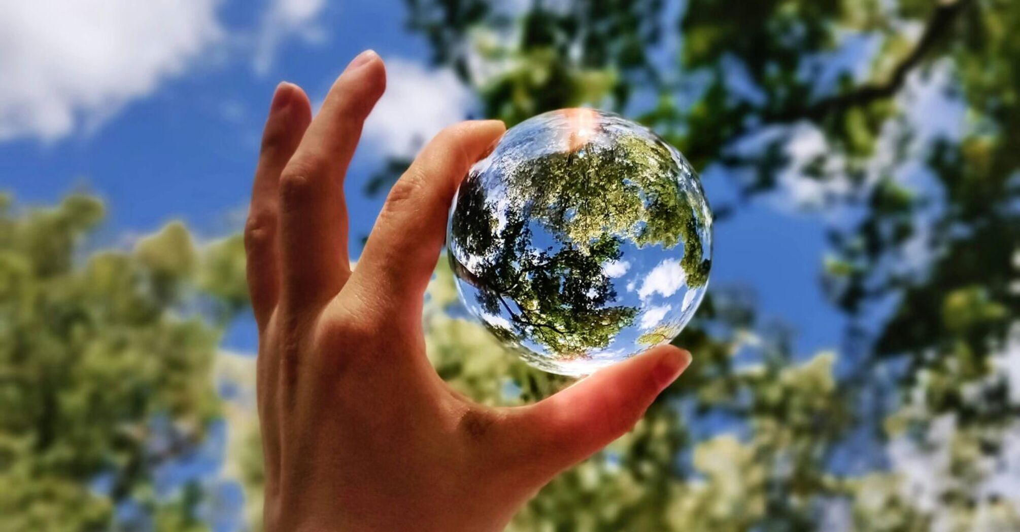 A hand holding a crystal ball against a blue sky, reflecting the green trees above 