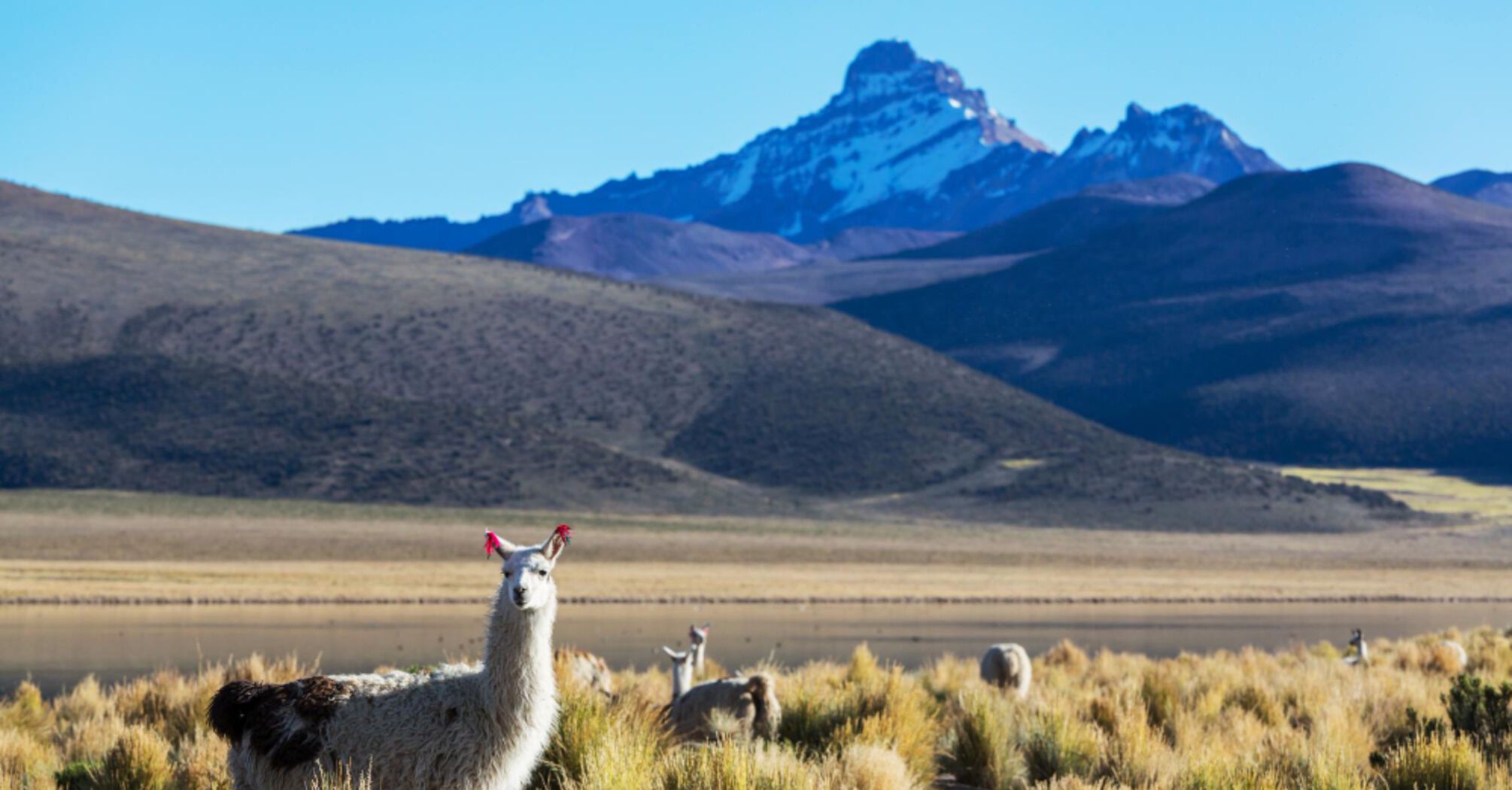 Discover the enchanting South America: the best countries for travel