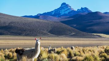Discover the enchanting South America: the best countries for travel
