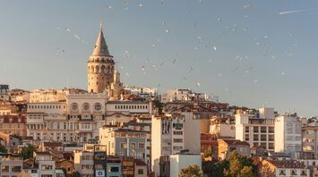 Aerial view of buildings and flying birds