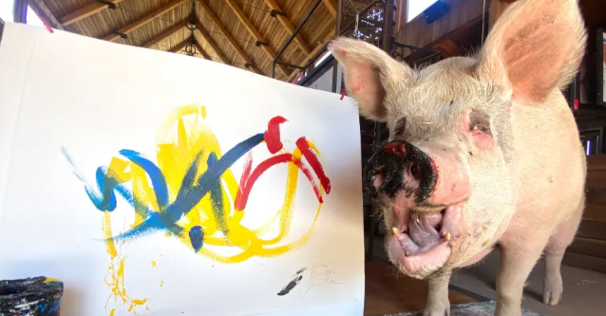 The famous pig-artist Pigcasso died