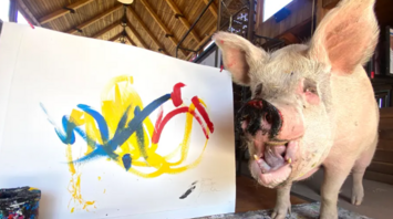 The famous pig-artist Pigcasso died