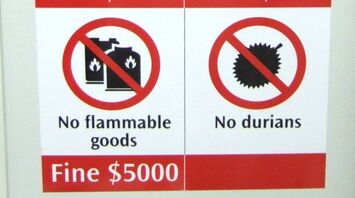 Tourist mistakes in Singapore: locals don't like it very much