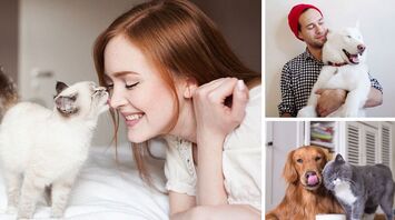 Three zodiac signs that choose the company of animals over humans are named
