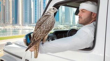 Scottish falcons are stolen by order of Arab sheikhs: Investigation