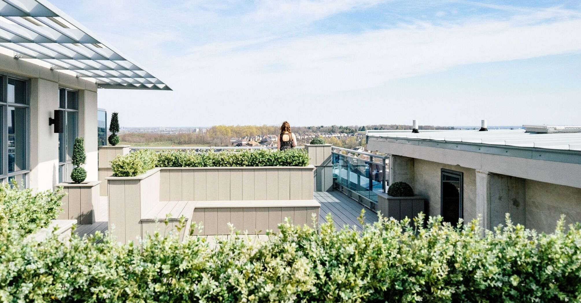 Sustainable rooftop garden with solar panels and cityscape view