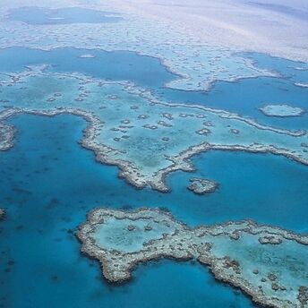 Top 10 things to do on the Great Barrier Reef in 2024