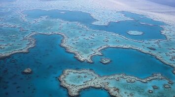 Top 10 things to do on the Great Barrier Reef in 2024