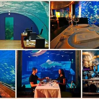 The five most exciting underwater restaurants in the world