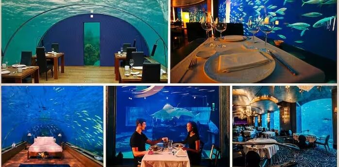 The five most exciting underwater restaurants in the world