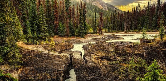 Where to stay in Glacier National Park: Top 10 great hotels