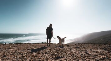 Man standing with a dog on a leash