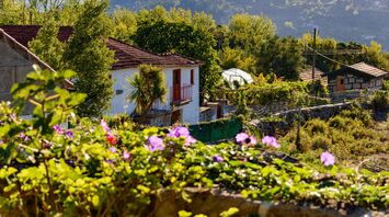 A picturesque view of traditional rural European houses with red roofs, surrounded by lush greenery and blooming purple flowers in the foreground