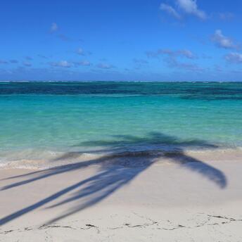 White beach in caribbean sea