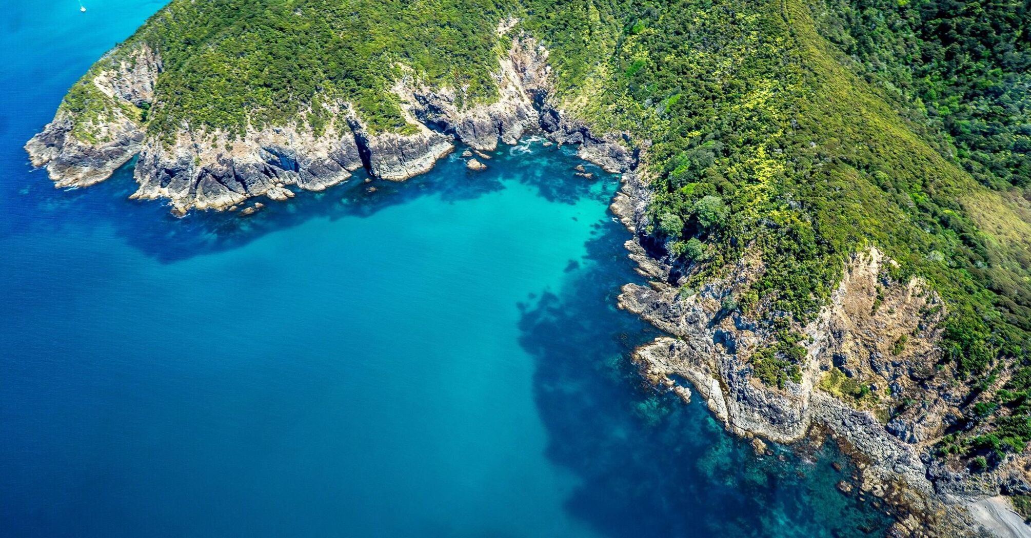 Aerial view of a lush coastline in the north of New Zealand, with clear turquoise waters