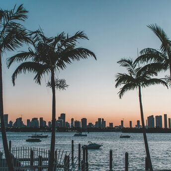 View of a serene waterfront with palm trees in the foreground and Miami's city skyline in the distance at dusk