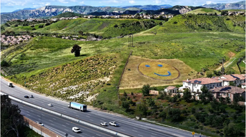 Near Los Angeles, an unusual flowerbed in blue and yellow colors has appeared