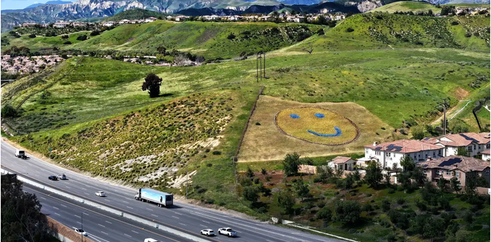 Near Los Angeles, an unusual flowerbed in blue and yellow colors has appeared