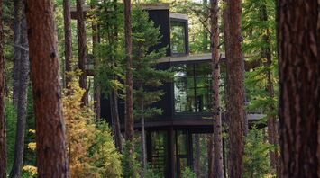 Stunning Green O Resort in Montana: from tree houses and stargazing from bed to river rafting and spas among the piney woods