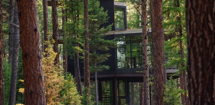 Stunning Green O Resort in Montana: from tree houses and stargazing from bed to river rafting and spas among the piney woods