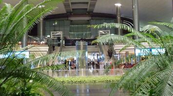 Indoor scene at an Dubai airport with lush greenery and people walking in the background