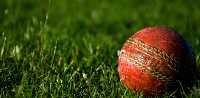 A red cricket ball on a grassy field