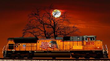 Train near a tree at sunset 
