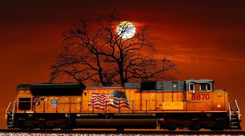 Train near a tree at sunset