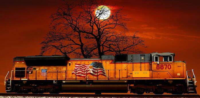 Train near a tree at sunset 