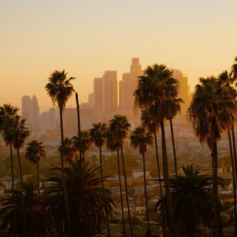 Sunset over Los Angeles cityscape with palm trees in the foreground