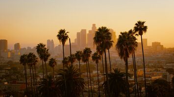 Sunset over Los Angeles cityscape with palm trees in the foreground