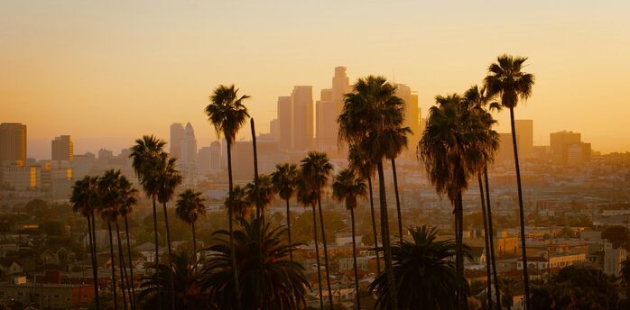 Sunset over Los Angeles cityscape with palm trees in the foreground