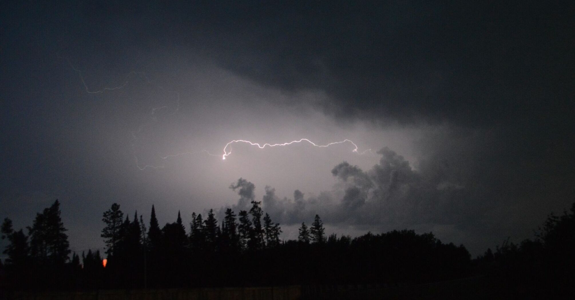 A dark stormy sky illuminated by a streak of lightning, with silhouettes of trees in the foreground