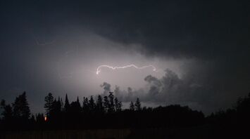 A dark stormy sky illuminated by a streak of lightning, with silhouettes of trees in the foreground