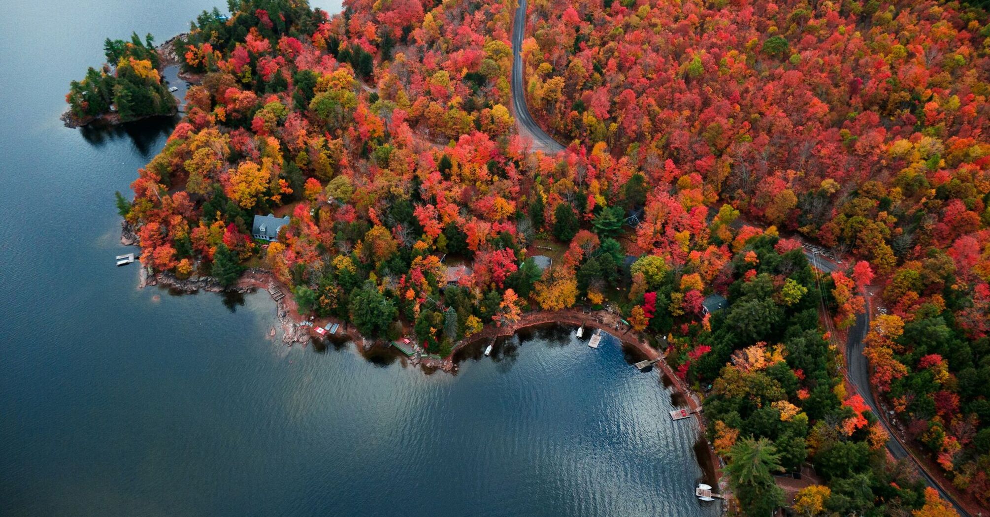 Aerial view of Ontario's autumnal foliage by a lake
