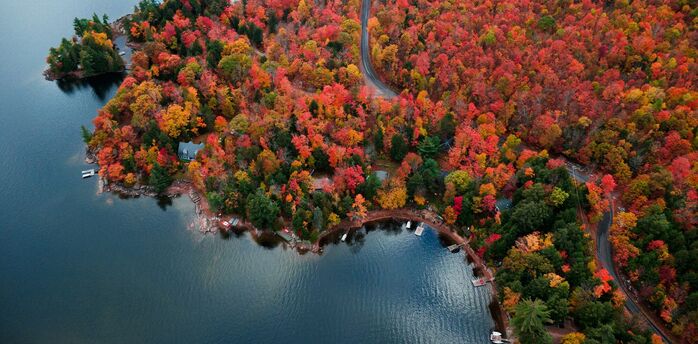 Aerial view of Ontario's autumnal foliage by a lake
