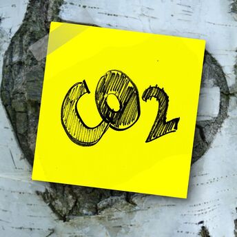 Sticky note with 'CO2' sketch attached to a birch tree