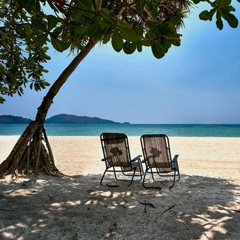 Two chairs under a tree on a serene beach