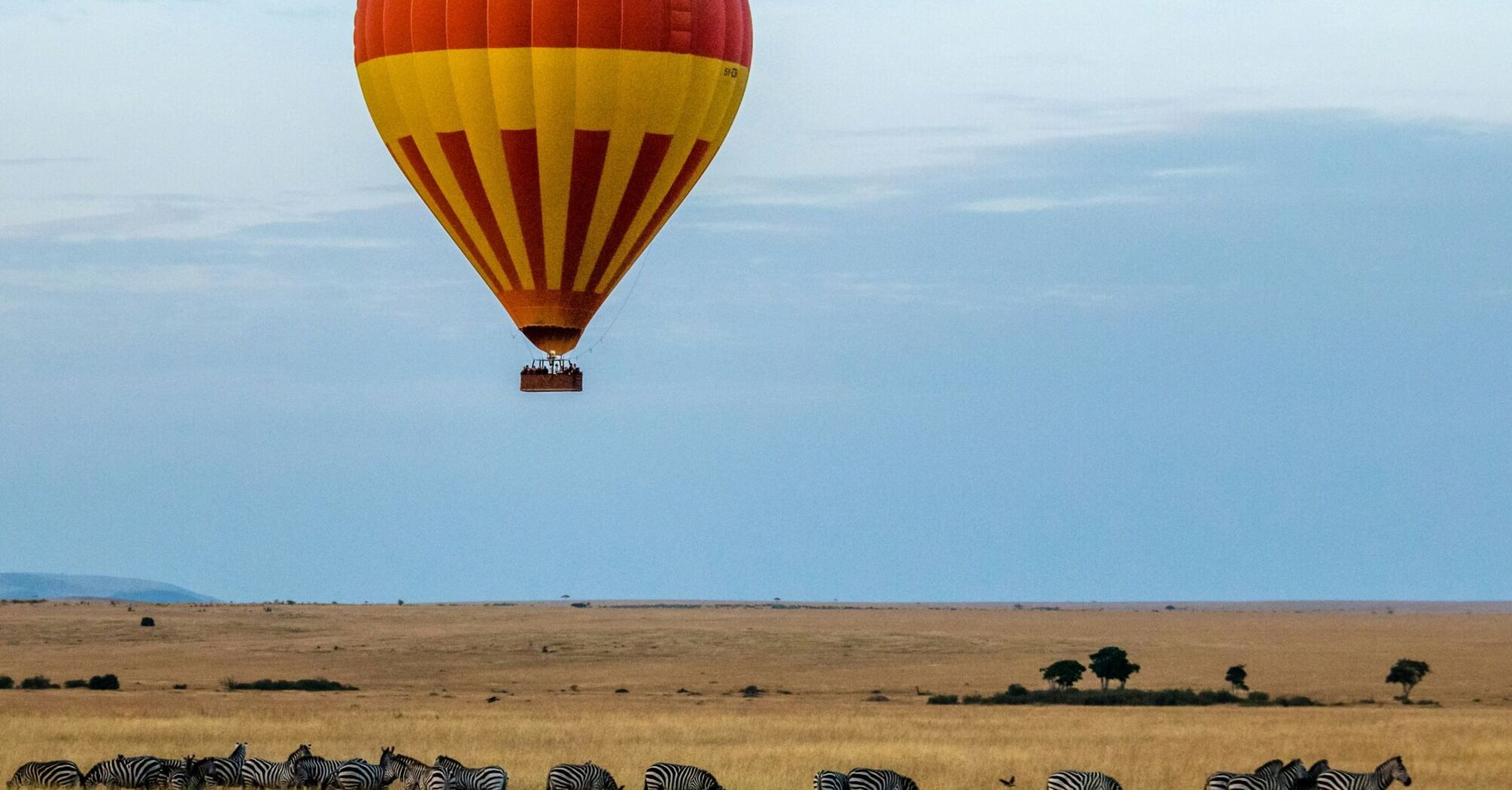 Red and yellow hot air balloon over field with zebras