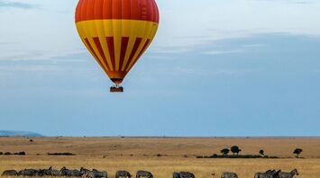 Red and yellow hot air balloon over field with zebras