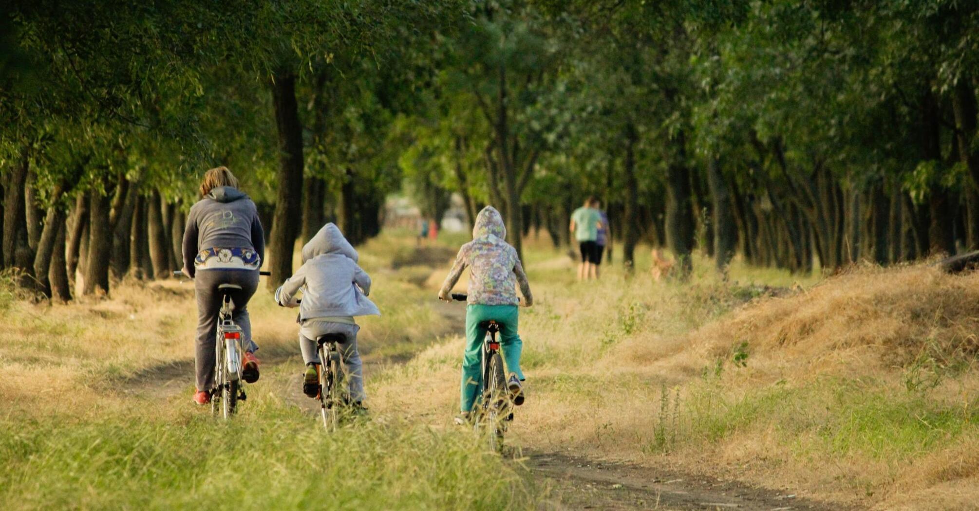 Family rides a bicycle in a field