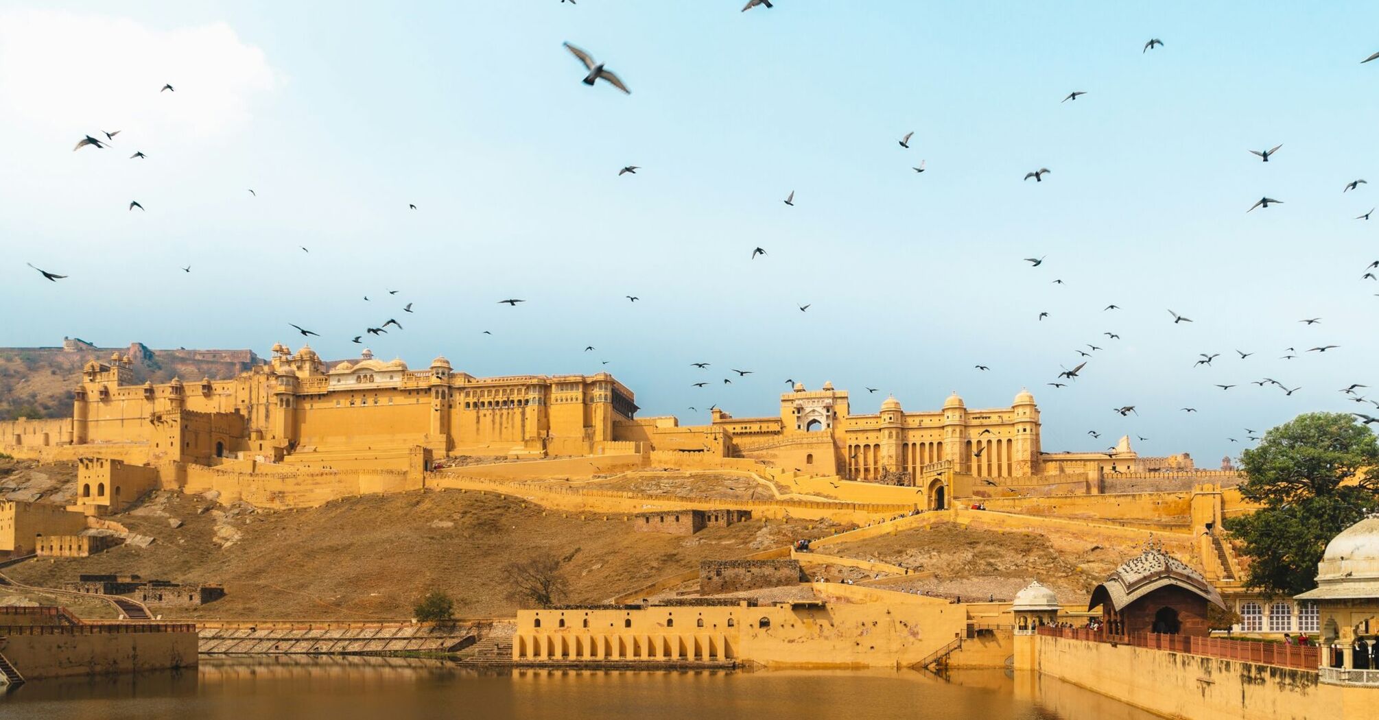 Birds flying over river during daytime