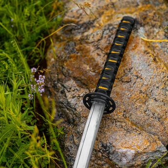 Sword with a black and yellow handle resting on a rocky surface surrounded by green plants