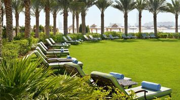 Deckchairs by the sea with palm trees