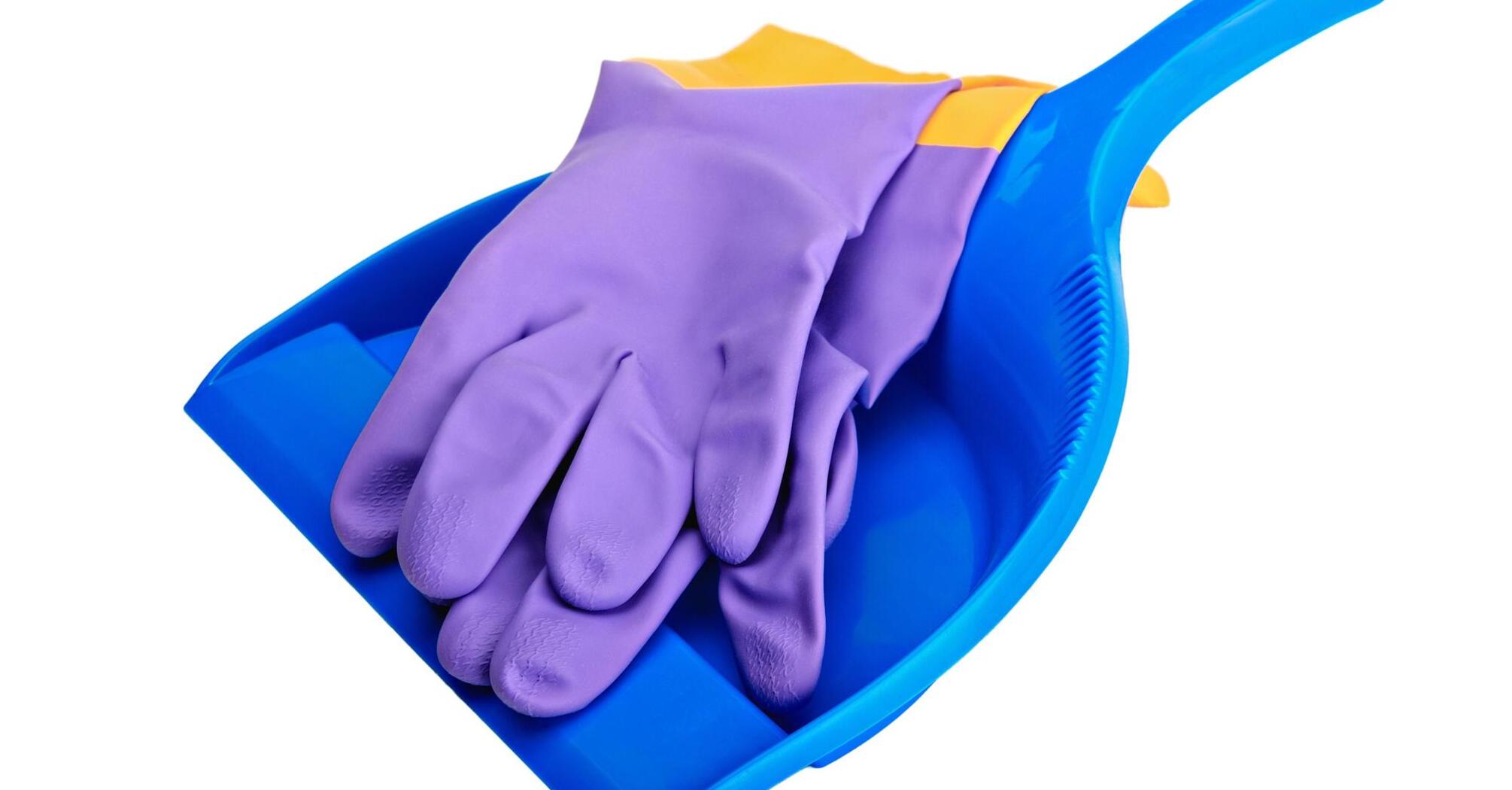 Purple rubber gloves and blue dustpan on a white background