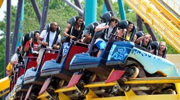 A group of people ride a roller coaster