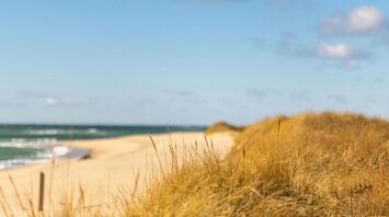 Beach in Nantucket